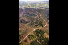 Vue aérienne de Reconstruction du tronçon de 51 km du gazoduc transeuropéen (TENP-I entre les Pays-Bas et la Suisse) entre Mittelbrunn et Klingenmünster à Klingenmünster dans le département Rhénanie-Palatinat, Allemagne