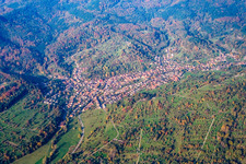 Vue aérienne de Champs agricoles avec des arbres fruitiers aux feuilles d'automne à le quartier Michelbach in Gaggenau dans le département Bade-Wurtemberg, Allemagne