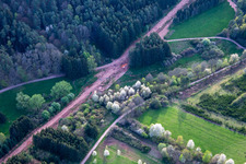 Vue aérienne de Chemin à travers la forêt du Palatinat pour reconstruire le tronçon de 51 km du gazoduc transeuropéen (TENP-III des Pays-Bas à la Suisse) entre Mittelbrunn et Klingenmünster à Schwanheim dans le département Rhénanie-Palatinat, Allemagne