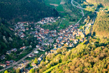 Vue aérienne de Rue Haupt à Wilgartswiesen dans le département Rhénanie-Palatinat, Allemagne