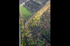 Vue aérienne de Ruines du château de Falkenburg à Wilgartswiesen dans le département Rhénanie-Palatinat, Allemagne