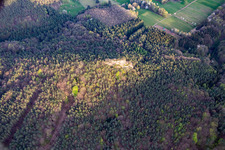 Photographie aérienne de Haselstein à Oberschlettenbach dans le département Rhénanie-Palatinat, Allemagne