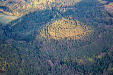Vue aérienne de Les collines de la forêt du Palatinat au printemps à Birkenhördt dans le département Rhénanie-Palatinat, Allemagne
