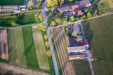 Vue aérienne de Le bar à vin Knauf à Göcklingen dans le département Rhénanie-Palatinat, Allemagne