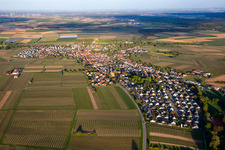 Vue aérienne de Du nord-ouest à Insheim dans le département Rhénanie-Palatinat, Allemagne