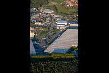 Vue aérienne de Zone industrielle de Horst depuis l'ouest à le quartier Minderslachen in Kandel dans le département Rhénanie-Palatinat, Allemagne