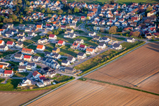 Vue aérienne de Chemin des tournesols à Kandel dans le département Rhénanie-Palatinat, Allemagne