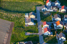 Photographie aérienne de Chemin des Narcisses à Kandel dans le département Rhénanie-Palatinat, Allemagne