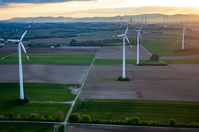 Vue aérienne de Parc éolien Minfeld à Minfeld dans le département Rhénanie-Palatinat, Allemagne