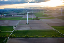 Vue aérienne de Parc éolien Minfeld à Minfeld dans le département Rhénanie-Palatinat, Allemagne