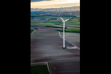 Photographie aérienne de Parc éolien Minfeld à Minfeld dans le département Rhénanie-Palatinat, Allemagne