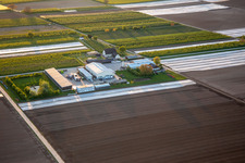 Vue aérienne de Le jardin du fermier à Winden dans le département Rhénanie-Palatinat, Allemagne