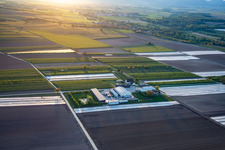 Photographie aérienne de Le jardin du fermier à Winden dans le département Rhénanie-Palatinat, Allemagne