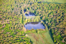 Vue aérienne de Étang dans la forêt à Vibersviller dans le département Moselle, France