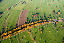 Vue aérienne de Arbres d'avenue aux couleurs d'automne sur la Schluttenbacher Straße à le quartier Schöllbronn in Ettlingen dans le département Bade-Wurtemberg, Allemagne