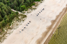 Vue aérienne de Plage pour chiens Trassenheide à Trassenheide dans le département Mecklembourg-Poméranie occidentale, Allemagne