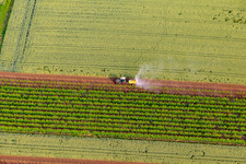 Vue aérienne de Un tracteur pulvérise des pesticides sur les vignes à le quartier Ingenheim in Billigheim-Ingenheim dans le département Rhénanie-Palatinat, Allemagne