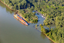 Vue aérienne de Port de plaisance sur le vieux Rhin de Leimersheim à Leimersheim dans le département Rhénanie-Palatinat, Allemagne