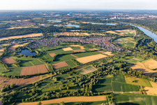Vue aérienne de Du sud à le quartier Neuburg in Neuburg am Rhein dans le département Rhénanie-Palatinat, Allemagne
