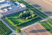 Vue aérienne de Jardin fermier avec étang naturel à Winden dans le département Rhénanie-Palatinat, Allemagne