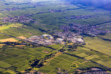 Vue aérienne de Du nord-est à Edenkoben dans le département Rhénanie-Palatinat, Allemagne