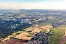 Vue aérienne de En arrière-plan, le parcours de golf Landgut Dreihof - GOLF absolu à le quartier Niederhochstadt in Hochstadt dans le département Rhénanie-Palatinat, Allemagne