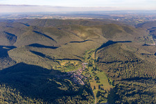 Vue aérienne de De l'ouest à Niederschlettenbach dans le département Rhénanie-Palatinat, Allemagne