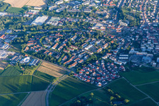 Vue aérienne de Nouvelle zone de développement à Wngert à le quartier Pleisweiler in Bad Bergzabern dans le département Rhénanie-Palatinat, Allemagne