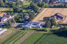 Vue aérienne de Villa sur le Böhlweg à le quartier Offenbach in Offenbach an der Queich dans le département Rhénanie-Palatinat, Allemagne