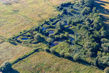 Photographie aérienne de Biotope sur le Queich à le quartier Niederhochstadt in Hochstadt dans le département Rhénanie-Palatinat, Allemagne