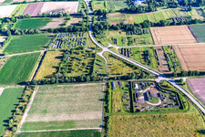 Vue aérienne de Zones de stockage du bois à le quartier Niederlustadt in Lustadt dans le département Rhénanie-Palatinat, Allemagne
