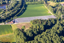 Vue aérienne de Pépinière Blumen-Xpert GbR avec serres dans la Hördter Straße à le quartier Sondernheim in Germersheim dans le département Rhénanie-Palatinat, Allemagne