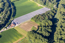 Vue aérienne de Pépinière Blumen-Xpert GbR avec serres dans la Hördter Straße à le quartier Sondernheim in Germersheim dans le département Rhénanie-Palatinat, Allemagne