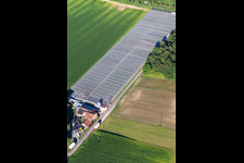 Photographie aérienne de Pépinière Blumen-Xpert GbR avec serres dans la Hördter Straße à le quartier Sondernheim in Germersheim dans le département Rhénanie-Palatinat, Allemagne