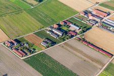 Vue aérienne de Aussiedlerhöfe Am Bildstöckel à Hatzenbühl dans le département Rhénanie-Palatinat, Allemagne