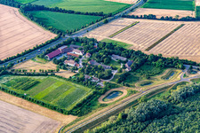 Vue aérienne de Ferme expérimentale Südzucker AG Kirschgartshausen à le quartier Sandhofen in Mannheim dans le département Bade-Wurtemberg, Allemagne