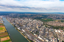 Vue aérienne de Usine chimique au bord du Rhin http à le quartier BASF in Ludwigshafen am Rhein dans le département Rhénanie-Palatinat, Allemagne