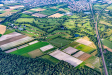 Vue aérienne de Parc de golf du Kurpfalz à Schifferstadt dans le département Rhénanie-Palatinat, Allemagne