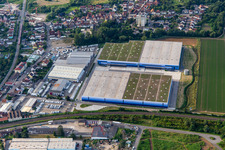 Vue aérienne de Nouvelle construction d'un immense centre logistique sur le Ketzerweg à Schifferstadt dans le département Rhénanie-Palatinat, Allemagne