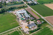 Vue aérienne de Légumes du Grafenland à Freisbach dans le département Rhénanie-Palatinat, Allemagne