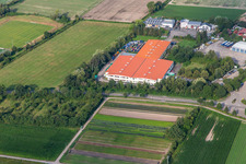 Vue aérienne de Bührmann Wines GmbH à Zeiskam dans le département Rhénanie-Palatinat, Allemagne