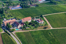 Vue aérienne de Hôtel 4 étoiles Leinsweiler Cour entre vignes le matin à Leinsweiler dans le département Rhénanie-Palatinat, Allemagne