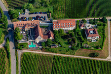 Vue aérienne de Hôtel 4 étoiles Leinsweiler Cour entre vignes le matin à Leinsweiler dans le département Rhénanie-Palatinat, Allemagne