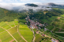 Vue aérienne de Birnbachtal le matin depuis le sud-est à Leinsweiler dans le département Rhénanie-Palatinat, Allemagne
