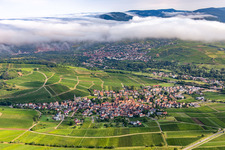Vue aérienne de Ville viticole du sud à Birkweiler dans le département Rhénanie-Palatinat, Allemagne