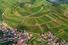 Vue aérienne de Vignoble de châtaignier derrière le village viticole du sud-est à Birkweiler dans le département Rhénanie-Palatinat, Allemagne
