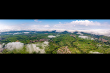Vue aérienne de Vignobles du petit Kalmit jusqu'à la lisière de la forêt nuageuse du Palatinat entre Siebeldingen, Arzheim, Ilbeshheim et Eschbach à le quartier Ilbesheim in Ilbesheim bei Landau in der Pfalz dans le département Rhénanie-Palatinat, Allemagne