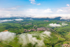 Vue aérienne de Vignobles du petit Kalmit à la lisière de la forêt nuageuse du Palatinat entre Arzheim, Ilbeshheim et Eschbach à le quartier Ilbesheim in Ilbesheim bei Landau in der Pfalz dans le département Rhénanie-Palatinat, Allemagne