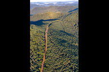 Vue aérienne de Tracé pour la nouvelle construction du tronçon de 51 km du gazoduc transeuropéen (TENP-I entre les Pays-Bas et la Suisse) entre Mittelbrunn et Klingenmünster à Klingenmünster dans le département Rhénanie-Palatinat, Allemagne