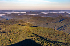 Vue aérienne de Montagnes de la forêt du sud du Palatinat à Darstein dans le département Rhénanie-Palatinat, Allemagne